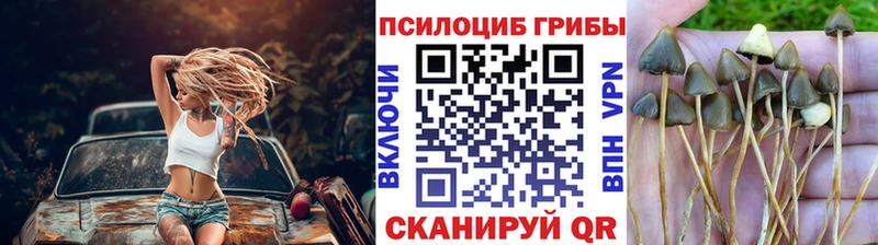 Галлюциногенные грибы Magic Shrooms  Новозыбков 